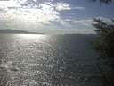 ./images/koeye/fitz-hugh/20230507/fitz-hugh20230507_160001.jpg