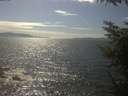./images/koeye/fitz-hugh/20230509/fitz-hugh20230509_160002.jpg