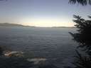 ./images/koeye/fitz-hugh/20230514/fitz-hugh20230514_080002.jpg