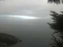 ./images/koeye/fitz-hugh/20230523/fitz-hugh20230523_080001.jpg
