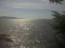./images/koeye/fitz-hugh/20230525/fitz-hugh20230525_160002.jpg
