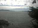 ./images/koeye/fitz-hugh/20230529/fitz-hugh20230529_160002.jpg
