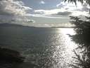 ./images/koeye/fitz-hugh/20230531/fitz-hugh20230531_180002.jpg