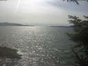 ./images/koeye/fitz-hugh/20230601/fitz-hugh20230601_160002.jpg