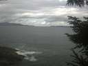 ./images/koeye/fitz-hugh/20230603/fitz-hugh20230603_100002.jpg