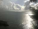 ./images/koeye/fitz-hugh/20230604/fitz-hugh20230604_180002.jpg