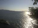 ./images/koeye/fitz-hugh/20230605/fitz-hugh20230605_180002.jpg