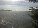 ./images/koeye/fitz-hugh/20230606/fitz-hugh20230606_160002.jpg