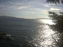 ./images/koeye/fitz-hugh/20230606/fitz-hugh20230606_180001.jpg