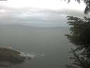./images/koeye/fitz-hugh/20230613/fitz-hugh20230613_060002.jpg
