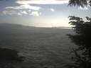 ./images/koeye/fitz-hugh/20230613/fitz-hugh20230613_180002.jpg