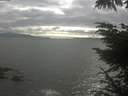 ./images/koeye/fitz-hugh/20230621/fitz-hugh20230621_180002.jpg