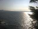 ./images/koeye/fitz-hugh/20230623/fitz-hugh20230623_180001.jpg