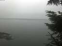 ./images/koeye/fitz-hugh/20230626/fitz-hugh20230626_080002.jpg