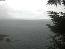 ./images/koeye/fitz-hugh/20230710/fitz-hugh20230710_060001.jpg