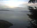 ./images/koeye/fitz-hugh/20230714/fitz-hugh20230714_060002.jpg