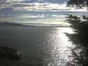 ./images/koeye/fitz-hugh/20230715/fitz-hugh20230715_180002.jpg