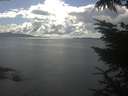 ./images/koeye/fitz-hugh/20230724/fitz-hugh20230724_160001.jpg