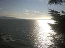 ./images/koeye/fitz-hugh/20230727/fitz-hugh20230727_180002.jpg