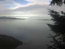 ./images/koeye/fitz-hugh/20230804/fitz-hugh20230804_080002.jpg