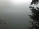 ./images/koeye/fitz-hugh/20230807/fitz-hugh20230807_060002.jpg
