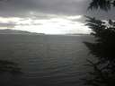 ./images/koeye/fitz-hugh/20230810/fitz-hugh20230810_180002.jpg