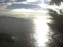 ./images/koeye/fitz-hugh/20230812/fitz-hugh20230812_180002.jpg