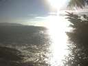 ./images/koeye/fitz-hugh/20230814/fitz-hugh20230814_180002.jpg