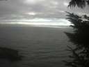 ./images/koeye/fitz-hugh/20230815/fitz-hugh20230815_180002.jpg