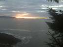 ./images/koeye/fitz-hugh/20231123/fitz-hugh20231123_164001.jpg