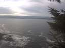 ./images/koeye/fitz-hugh/20231124/fitz-hugh20231124_130001.jpg