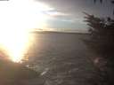 ./images/koeye/fitz-hugh/20231124/fitz-hugh20231124_160002.jpg