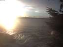 ./images/koeye/fitz-hugh/20231124/fitz-hugh20231124_160501.jpg