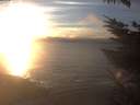 ./images/koeye/fitz-hugh/20231125/fitz-hugh20231125_160002.jpg