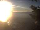 ./images/koeye/fitz-hugh/20231127/fitz-hugh20231127_155002.jpg