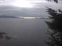 ./images/koeye/fitz-hugh/20231128/fitz-hugh20231128_153002.jpg