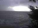 ./images/koeye/fitz-hugh/20231203/fitz-hugh20231203_170002.jpg