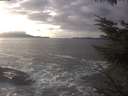 ./images/koeye/fitz-hugh/20231206/fitz-hugh20231206_142002.jpg