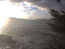 ./images/koeye/fitz-hugh/20231206/fitz-hugh20231206_145502.jpg