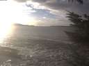 ./images/koeye/fitz-hugh/20231206/fitz-hugh20231206_150002.jpg