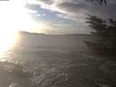 ./images/koeye/fitz-hugh/20231206/fitz-hugh20231206_150502.jpg