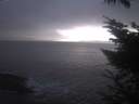./images/koeye/fitz-hugh/20231207/fitz-hugh20231207_165501.jpg