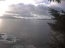 ./images/koeye/fitz-hugh/20231210/fitz-hugh20231210_132002.jpg