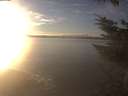 ./images/koeye/fitz-hugh/20231211/fitz-hugh20231211_153002.jpg