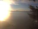 ./images/koeye/fitz-hugh/20231211/fitz-hugh20231211_154501.jpg