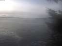 ./images/koeye/fitz-hugh/20231214/fitz-hugh20231214_122501.jpg