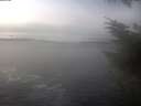 ./images/koeye/fitz-hugh/20231214/fitz-hugh20231214_123002.jpg
