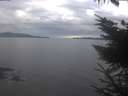 ./images/koeye/fitz-hugh/20231217/fitz-hugh20231217_130502.jpg