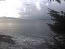 ./images/koeye/fitz-hugh/20231222/fitz-hugh20231222_130502.jpg