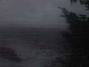 ./images/koeye/fitz-hugh/20241002/fitz-hugh20241002_070003.jpg